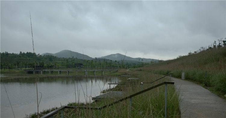 项目名称:广东省鹤山共和公园景观设计项目位置:广东省江门市 景观设计:广州土人景观顾问有限公司 首席设计师:庞伟 项目负责人:黄征征 设计团队:黄征征、汪耀宏、黄志坚、魏敏、张桂平 等 委 托 方:广州新福港地产置业有限公司 委托方总建筑师:杜金虎 占地面积:260 000 设计时间:2010 年 建成时间:2011 年 图片提供:黄志坚、李津 江门共和生态公园,位于江门市共和镇规划中心位置,紧邻江鹤高速路,占地26万平方米。 场地周边山体覆盖着公路绿化常用的尾叶桉经济林,地形错落复杂,中心有地势低洼而开