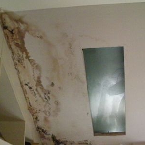 屋子漏雨又有缝 广厦城顶楼住户几年过得很愁烦