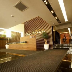 䰲Koza˾