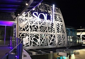 AnolisΪĴSurfers Paradise