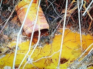 Ͼҵ ʮ