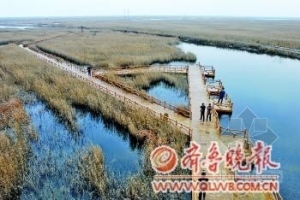 “生态立市” 东营耗资近百亿打造生态文明城