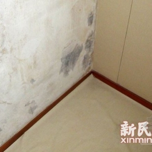 仁恒怡庭豪宅单方造价超7万 百病缠身遭质量拷问