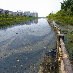 耗资4000多万修机场高速明渠 一场大雨后变臭水沟