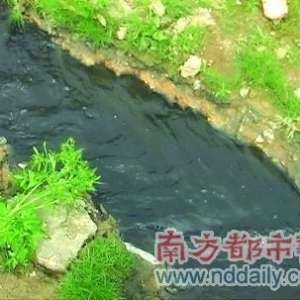 南湖截污工程造价千万元 成摆设