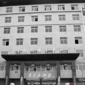 造价357万,欠债100余万 阳新“最牛”村办公楼引热议