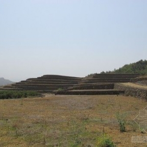 临安祁祥村“垦造耕地”项目招投标背后疑点重重