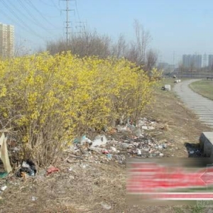 投资3000万无人管 长春珍珠溪公园成“垃圾场”
