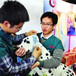 �߼�������ۿ��ȹ���¥��