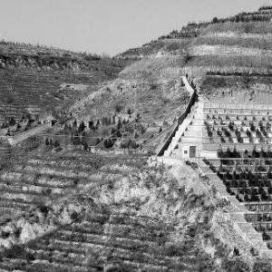 �Ӱ����ִ�ׯ�����޽�����Ĺ���������ʮ��