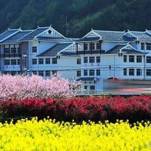 网友曝张家界最牛乡村学校似别墅 耗资4000万