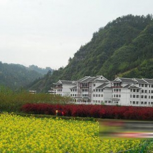 最牛学校耗资4千万续:当地政府大楼投资25万