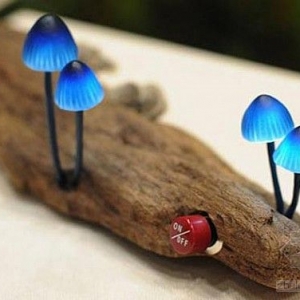 ĢȻĢ