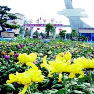 ʮһڼ幫԰ǰٰ컨չ