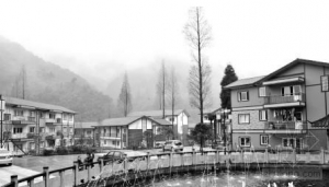 彭州:规划理念领先建成“最美山村”