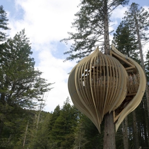 ϲD¿Yellow Tree House