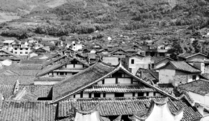 ʷĻ岿ΪȦ