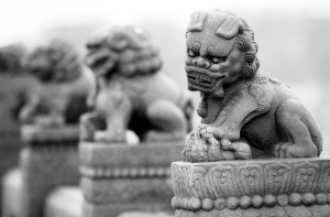 ¬ʯʨ绯 רҽ