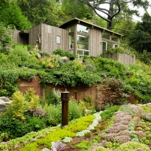 mill valley