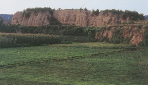 κʳ