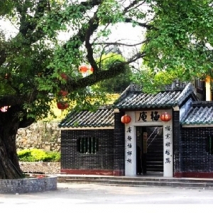 죺÷