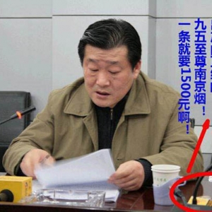网友曝南京一房产局长抽天价烟 1500/条