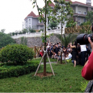 �����˲��ز��ٰ̾�������Ӱ��������¥��