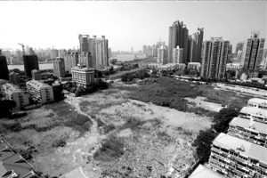 上海世博周边拍出新地王