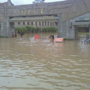厦门新排水防涝规划正在编制 可挡50年一遇暴雨
