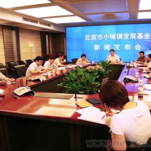 小城镇发展基金孵化现代城镇群