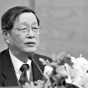 中国城市化进程中的“三新”问题