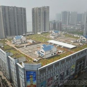 顾骏:为何坐视屋顶起别墅
