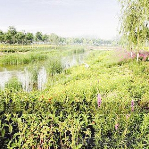 第四届世界建筑节12大获奖建筑设计
