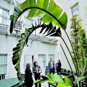 美国老年公寓大受欢迎 申请者要等十年才能入住