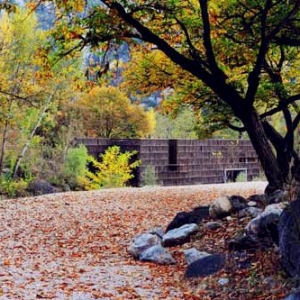 李晓东及其作品篱苑图书馆获2013年瑞典建筑实用奖