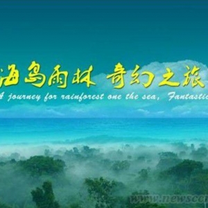 ȴɭηչ滮֤ͨ