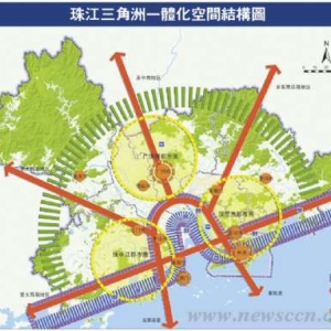 2020ǽ缶Ⱥ
