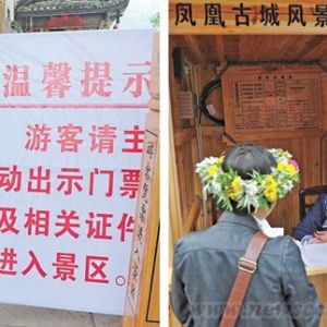 凤凰“涅槃”能否重生?