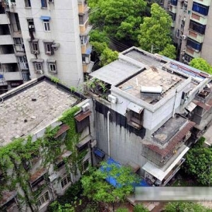 “开发商造假”追踪:违法建筑为何叫停不停