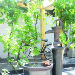 首座“零排放”四合院在京亮相桑拿天不用开空调