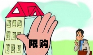 限购令四季度或无松绑 炒房查处力度加大