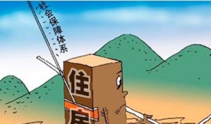 住房保障法列入2010年立法计划