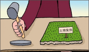 国土部:招拍挂是最好的土地出让制度