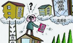 保障房之乱确是民生之艰