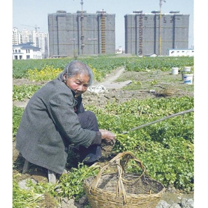 成都新规 农地再“飞”