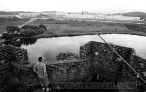 农地确权冲刺:国务院支持推进土地整理 大规模农地流转或放行