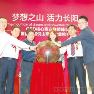 CSD中央商业盛境繁华盛启