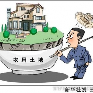 甘藏春:要摒弃"伪城市化"