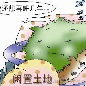国土资源部:闲置2年土地或将被无偿收回