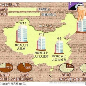 中国城市化 精明增长势在必行